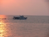 img_9749.jpg