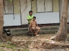 outdoor_haircut_thailand.jpg