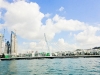 dsc00435.jpg