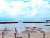 dsc00460.jpg