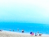 dsc00795.jpg