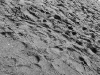 dsc00796.jpg
