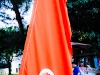 dsc00799.jpg