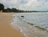 dsc00368.jpg