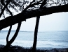 dsc00370.jpg