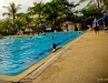 dsc00377.jpg