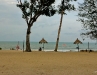 dsc00379.jpg