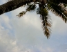 dsc00380.jpg
