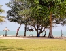dsc00407.jpg