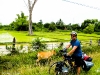 riziere_laos-4.jpg