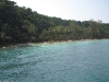img_0067_0.jpg