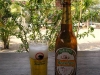 p1010019-2.jpg