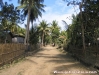 n643170496_4316729_8742.jpg