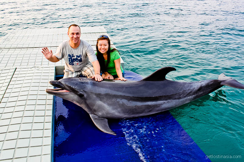 dolphins Phillipines subic bay
