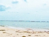 dsc00106.jpg