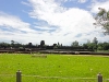 DSC01058