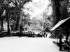 DSC01101