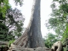 DSC01119