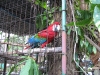 img_8968.jpg