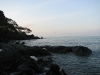 img_8971.jpg