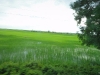 DSC00964