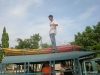 tiger_trails4.jpg            
