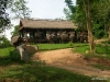 elephant_village.jpg