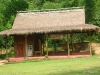 elephant_hospital.jpg   