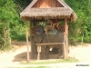 elephant_doc.jpg  